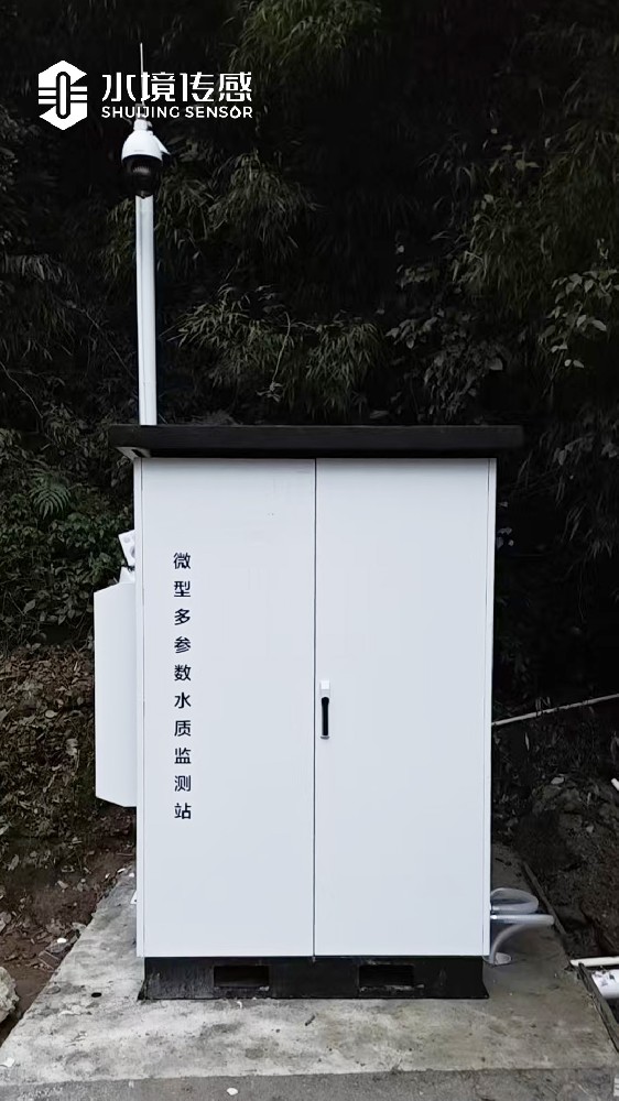 重庆市南川区王坪镇洪渡村-水质监测微站