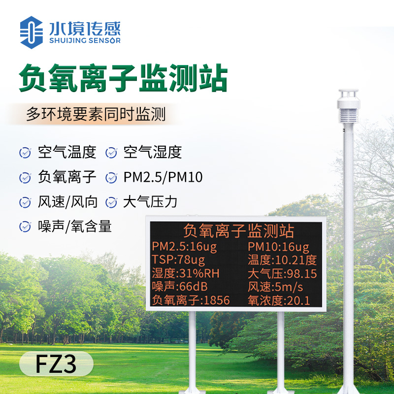 大气负氧离子监测系统